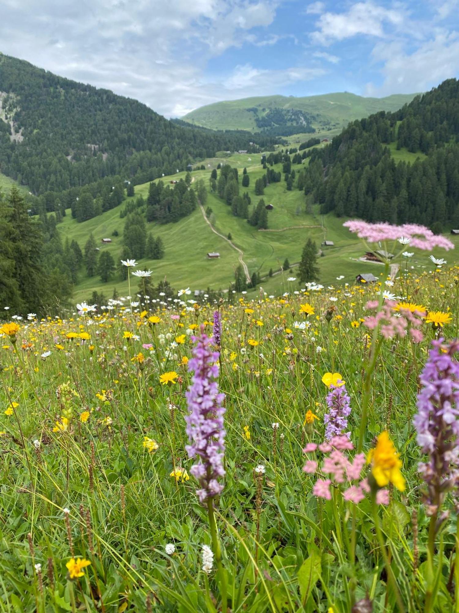 Apartment Nido Selva di Val Gardena Exteriér fotografie
