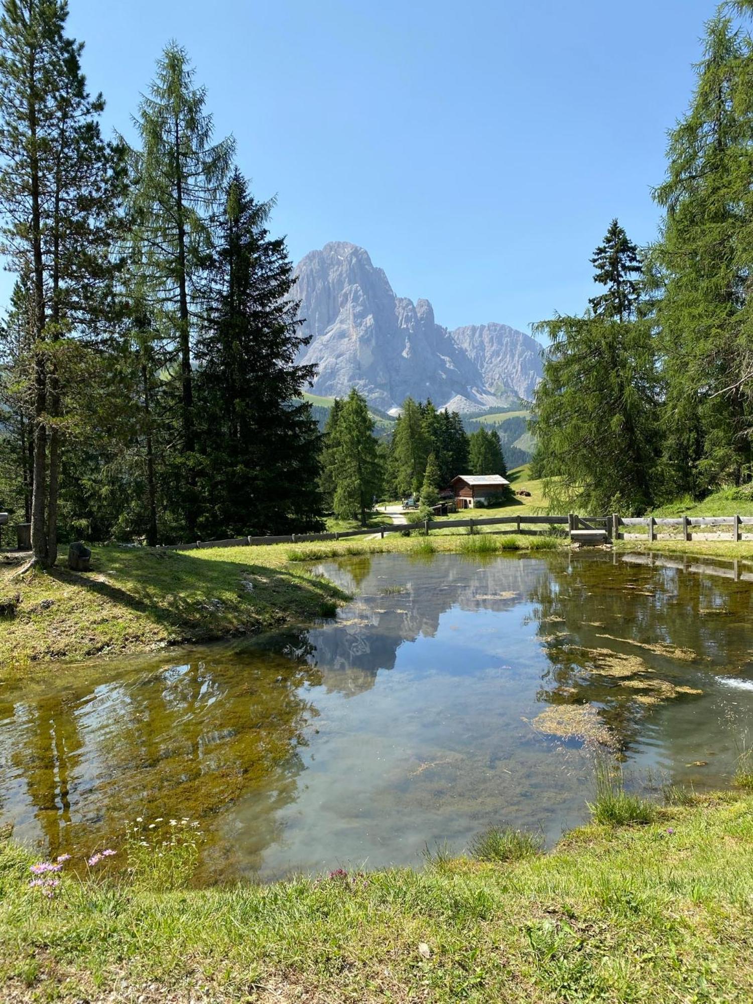 Apartment Nido Selva di Val Gardena Exteriér fotografie